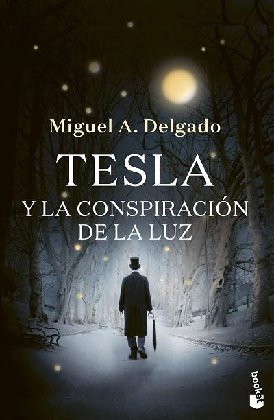 TESLA Y LA CONSPIRACIÓN DE LA LUZ | 9788423361212 | DELGADO, MIGUEL ÁNGEL | Llibreria La Gralla | Librería online de Granollers