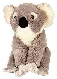 PELUIX WIKLD KOALA | 092389109085 | 10908 | Llibreria La Gralla | Llibreria online de Granollers