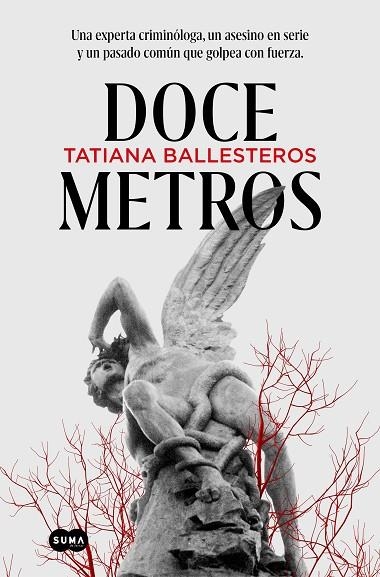 DOCE METROS | 9788491296485 | BALLESTEROS, TATIANA | Llibreria La Gralla | Llibreria online de Granollers