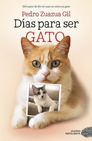 DÍAS PARA SER GATO | 9788417128524 | ZUAZUA GIL, PEDRO | Llibreria La Gralla | Librería online de Granollers