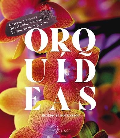 ORQUÍDEAS | 9788418882470 | BOUDASSOU, BÉNÉDICTE | Llibreria La Gralla | Librería online de Granollers