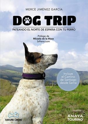 DOG TRIP - PATEANDO EL NORTE DE ESPAÑA CON TU PERRO | 9788491584476 | JIMÉNEZ GARCÍA, MERCÈ | Llibreria La Gralla | Llibreria online de Granollers