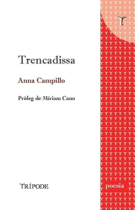 TRENCADISSA | 9788412501254 | CAMPILLO, ANNA | Llibreria La Gralla | Llibreria online de Granollers
