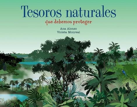 TESOROS NATURALES | 9788469891001 | ALONSO, ANA | Llibreria La Gralla | Llibreria online de Granollers