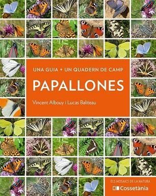 PAPALLONES | 9788413560540 | ALBOUY, VINCENT / BALITEAU, LUCAS | Llibreria La Gralla | Librería online de Granollers