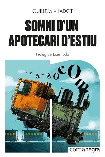 SOMNI D'UN APOTECARI D'ESTIU | 9788418857645 | VILADOT, GUILLEM | Llibreria La Gralla | Librería online de Granollers