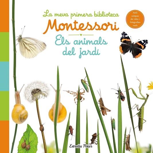 ANIMALS DEL JARDÍ, ELS. LA MEVA PRIMERA BIBLIOTECA MONTESSORI | 9788413890142 | AA. VV. | Llibreria La Gralla | Librería online de Granollers