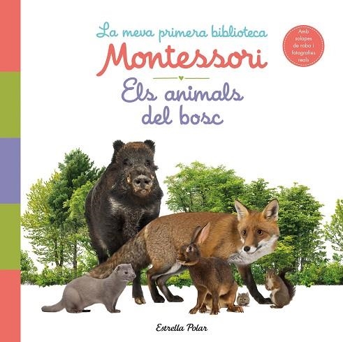 ANIMALS DEL BOSC, ELS. LA MEVA PRIMERA BIBLIOTECA MONTESSORI | 9788413890159 | AA. VV. | Llibreria La Gralla | Librería online de Granollers