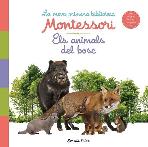 ANIMALS DEL BOSC, ELS. LA MEVA PRIMERA BIBLIOTECA MONTESSORI | 9788413890159 | AA. VV. | Llibreria La Gralla | Llibreria online de Granollers