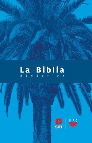 BIBLIA DIDÁCTICA, LA  - CEE | 9788413183039 | AA.VV | Llibreria La Gralla | Librería online de Granollers
