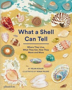 WHAT A SHELL CAN TELL | 9781838664305 | PULIDO, SONIA / SCALES, HELEN | Llibreria La Gralla | Llibreria online de Granollers