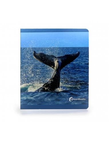 ANIMALES DEL MAR | 9788412344561 | AA.VV. | Llibreria La Gralla | Librería online de Granollers