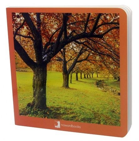 OTOÑO | 9788494585852 | MARTÍN MARTÍNEZ, DAVID | Llibreria La Gralla | Librería online de Granollers