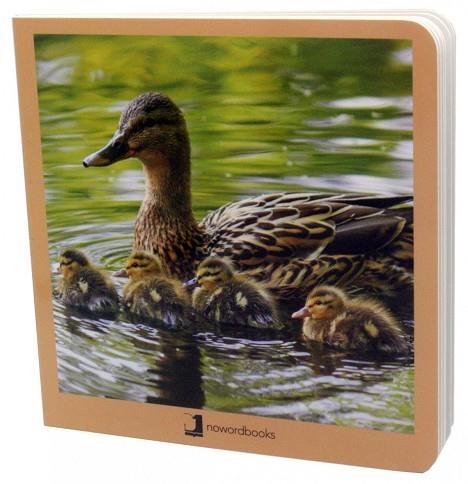 ANIMALES EN FAMILIA | 9788494810350 | AA.VV. | Llibreria La Gralla | Llibreria online de Granollers
