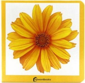 AMARILLO | 9788412534429 | AA.VV. | Llibreria La Gralla | Llibreria online de Granollers