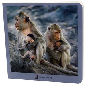 ANIMALES EN FAMILIA 2 | 9788494810367 | AA.VV. | Llibreria La Gralla | Librería online de Granollers