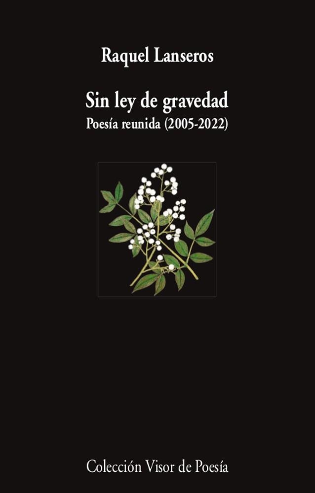 SIN LEY DE GRAVEDAD | 9788498954654 | LANSEROS, RAQUEL | Llibreria La Gralla | Llibreria online de Granollers