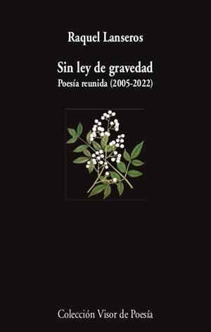 SIN LEY DE GRAVEDAD | 9788498954654 | LANSEROS, RAQUEL | Llibreria La Gralla | Librería online de Granollers