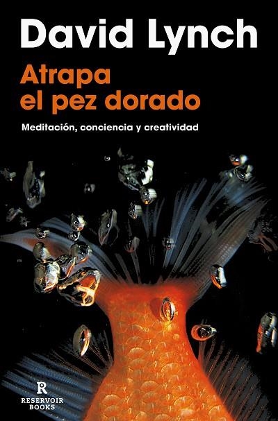 ATRAPA EL PEZ DORADO | 9788418897436 | LYNCH, DAVID | Llibreria La Gralla | Llibreria online de Granollers