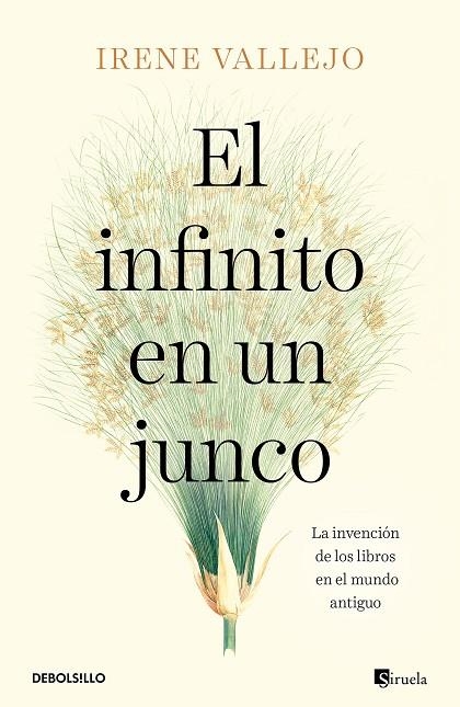 INFINITO EN UN JUNCO, EL | 9788466358293 | VALLEJO, IRENE | Llibreria La Gralla | Llibreria online de Granollers