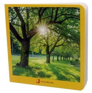 VERANO | 9788412171013 | AA.VV. | Llibreria La Gralla | Librería online de Granollers