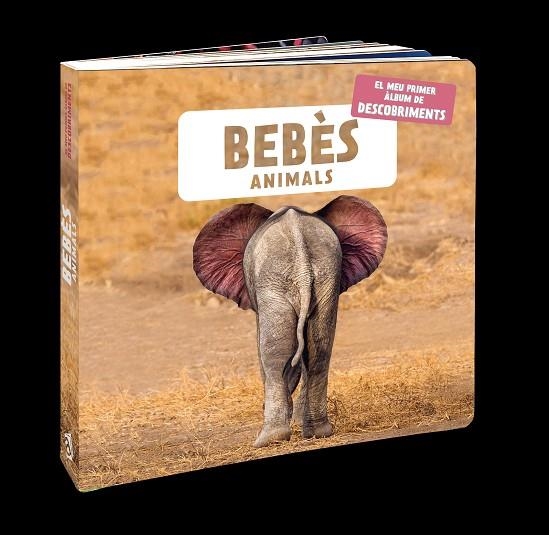 BEBÈS ANIMALS | 9788418762109 | NATURAGENCY | Llibreria La Gralla | Librería online de Granollers