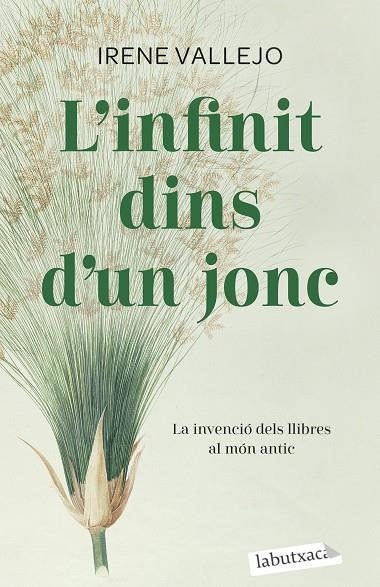 L'INFINIT DINS D'UN JONC | 9788419107121 | VALLEJO, IRENE | Llibreria La Gralla | Librería online de Granollers