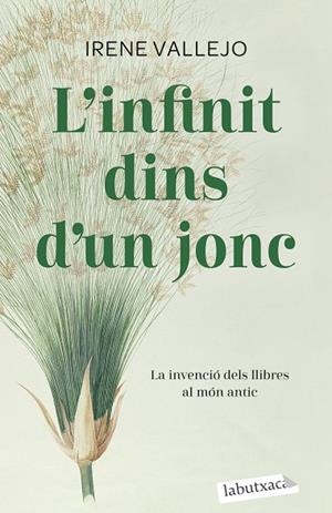 L'INFINIT DINS D'UN JONC | 9788419107121 | VALLEJO, IRENE | Llibreria La Gralla | Llibreria online de Granollers