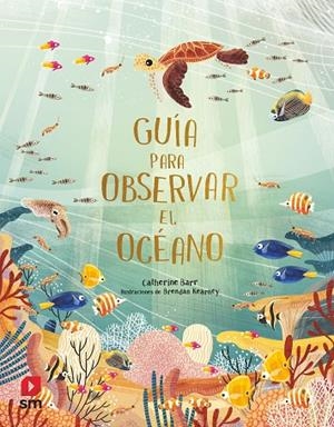 GUÍA PARA OBSERVAR EL OCÉANO | 9788413923642 | BARR, CATHERINE | Llibreria La Gralla | Llibreria online de Granollers