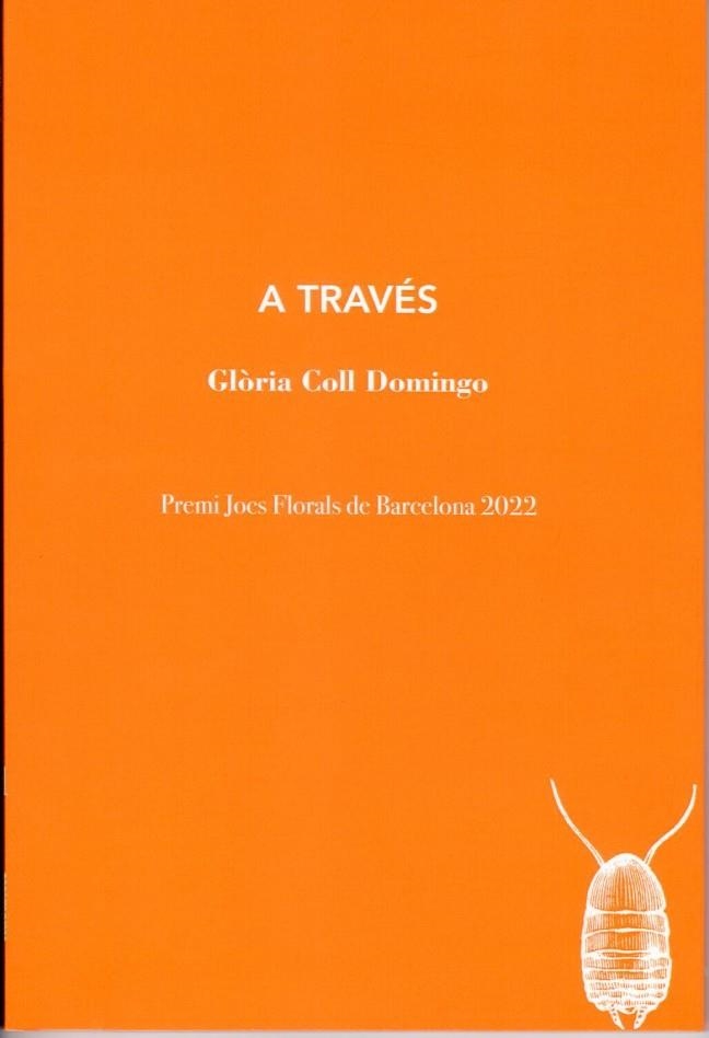 A TRAVÉS | 9788412457599 | COLL DOMINGO, GLÒRIA | Llibreria La Gralla | Librería online de Granollers