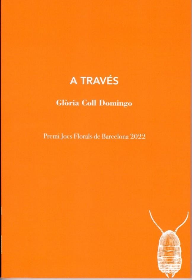 A TRAVÉS | 9788412457599 | COLL DOMINGO, GLÒRIA | Llibreria La Gralla | Llibreria online de Granollers