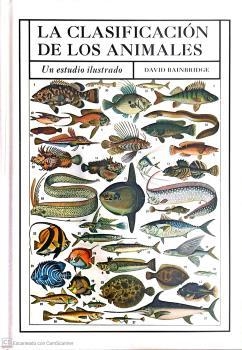 CLASIFICACION DE LOS ANIMALES, LA  | 9788428217521 | BAINBRIDGE, DAVID | Llibreria La Gralla | Librería online de Granollers