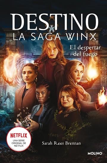DESPERTAR DEL FUEGO DESTINO: LA SAGA WINX 2 | 9788427277977 | BRENNAN, SARAH REES | Llibreria La Gralla | Librería online de Granollers