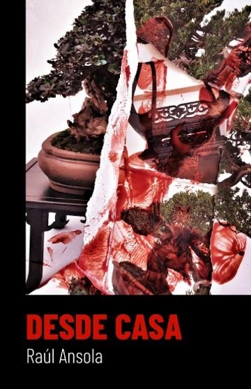 DESDE CASA | 9788409387175 | ANSOLA LÓPEZ, RAÚL | Llibreria La Gralla | Librería online de Granollers