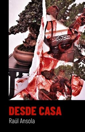 DESDE CASA | 9788409387175 | ANSOLA LÓPEZ, RAÚL | Llibreria La Gralla | Librería online de Granollers