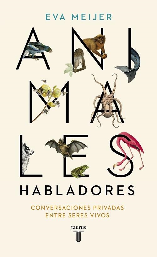 ANIMALES HABLADORES | 9788430623600 | MEIJER, EVA | Llibreria La Gralla | Librería online de Granollers