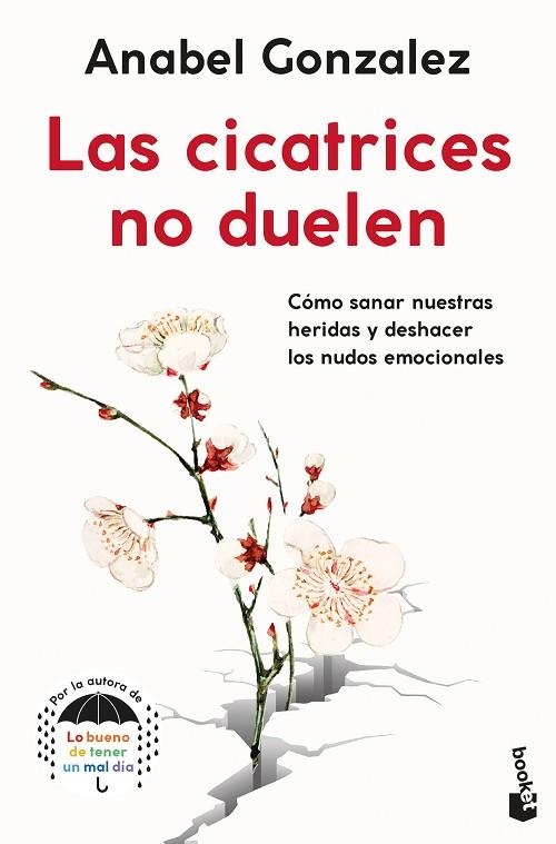 CICATRICES NO DUELEN, LAS (BOLSILLO) | 9788408262343 | GONZALEZ, ANABEL | Llibreria La Gralla | Librería online de Granollers