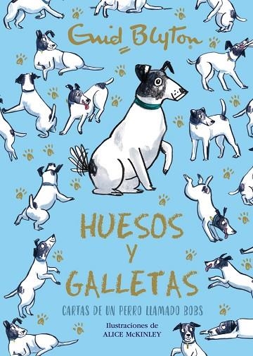 ENID BLYTON. HUESOS Y GALLETAS. CARTAS DE UN PERRO LLAMADO BOBS | 9788469664582 | BLYTON, ENID | Llibreria La Gralla | Librería online de Granollers