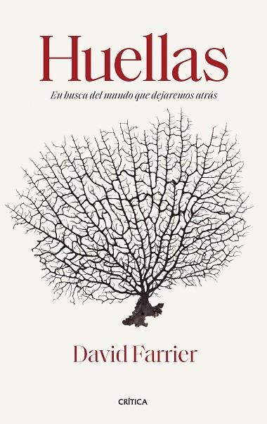 HUELLAS | 9788491994572 | FARRIER, DAVID | Llibreria La Gralla | Librería online de Granollers