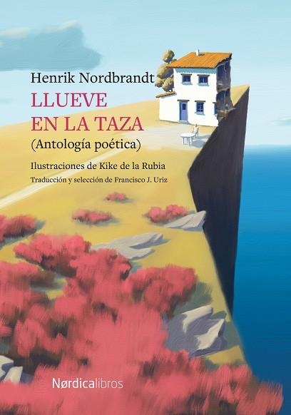 LLUEVE EN LA TAZA | 9788419320230 | NORDBRANDT, HENRIK | Llibreria La Gralla | Librería online de Granollers