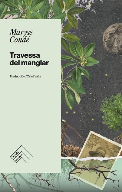 TRAVESSA DEL MANGLAR | 9788419515001 | CONDÉ, MARYSE | Llibreria La Gralla | Llibreria online de Granollers