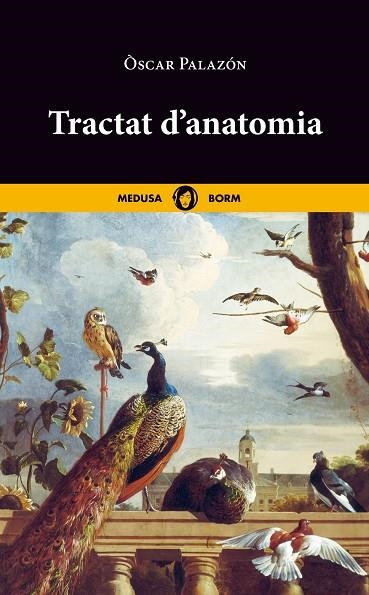 TRACTAT D'ANATOMIA | 9788419202048 | PALAZÓN, ÒSCAR | Llibreria La Gralla | Librería online de Granollers