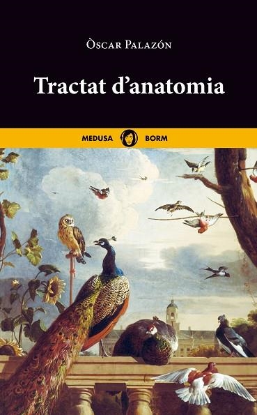 TRACTAT D'ANATOMIA | 9788419202048 | PALAZÓN, ÒSCAR | Llibreria La Gralla | Llibreria online de Granollers