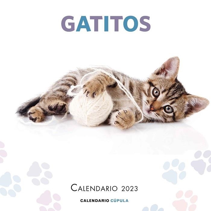 CALENDARIO GATITOS 2023 | 9788448029784 | AA. VV. | Llibreria La Gralla | Llibreria online de Granollers