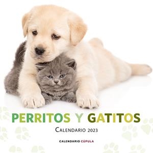CALENDARIO PERRITOS Y GATITOS 2023 | 9788448029807 | AA. VV. | Llibreria La Gralla | Llibreria online de Granollers