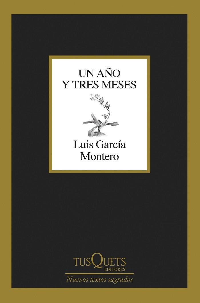 UN AÑO Y TRES MESES | 9788411071475 | GARCÍA MONTERO, LUIS | Llibreria La Gralla | Llibreria online de Granollers