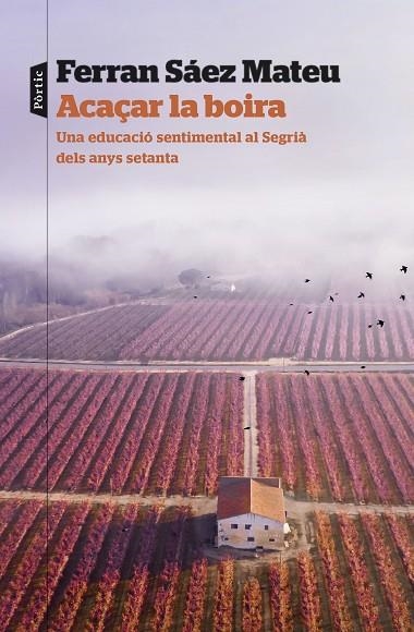 ACAÇAR LA BOIRA | 9788498095203 | SAEZ MATEU, FERRAN | Llibreria La Gralla | Librería online de Granollers