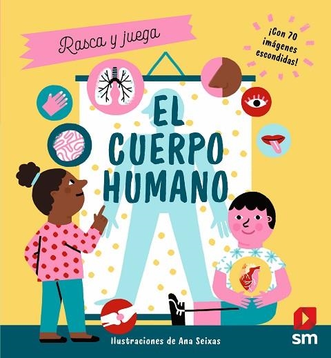 CUERPO HUMANO, EL | 9788413922461 | FLINT, KATHY | Llibreria La Gralla | Llibreria online de Granollers