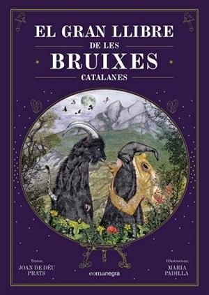 GRAN LLIBRE DE LES BRUIXES CATALANES, EL | 9788418857751 | PRATS, JOAN DE DÉU ; PADILLA CLIMENT, MARIA | Llibreria La Gralla | Librería online de Granollers