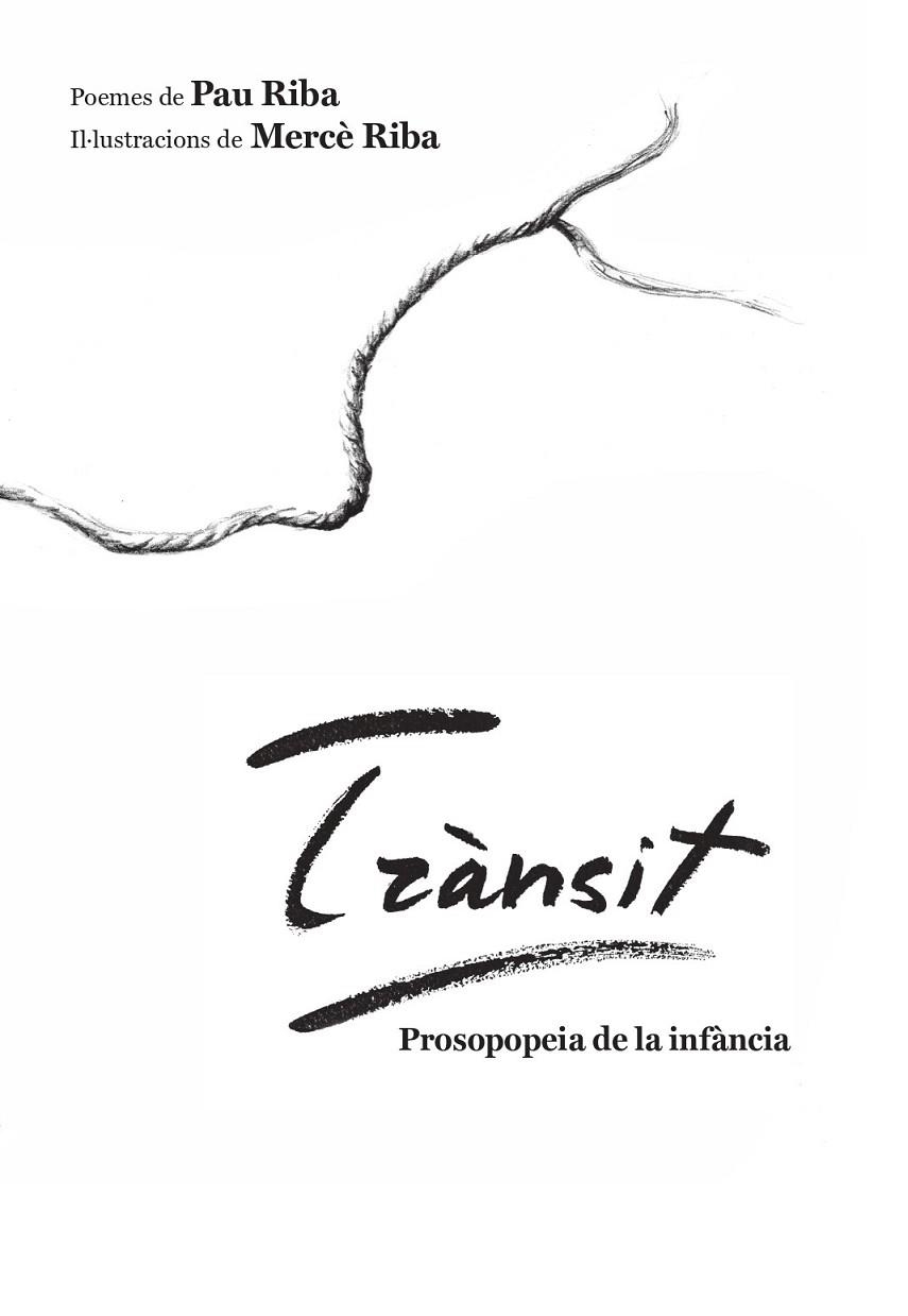 TRÀNSIT | 9788412526783 | RIBA, PAU | Llibreria La Gralla | Librería online de Granollers